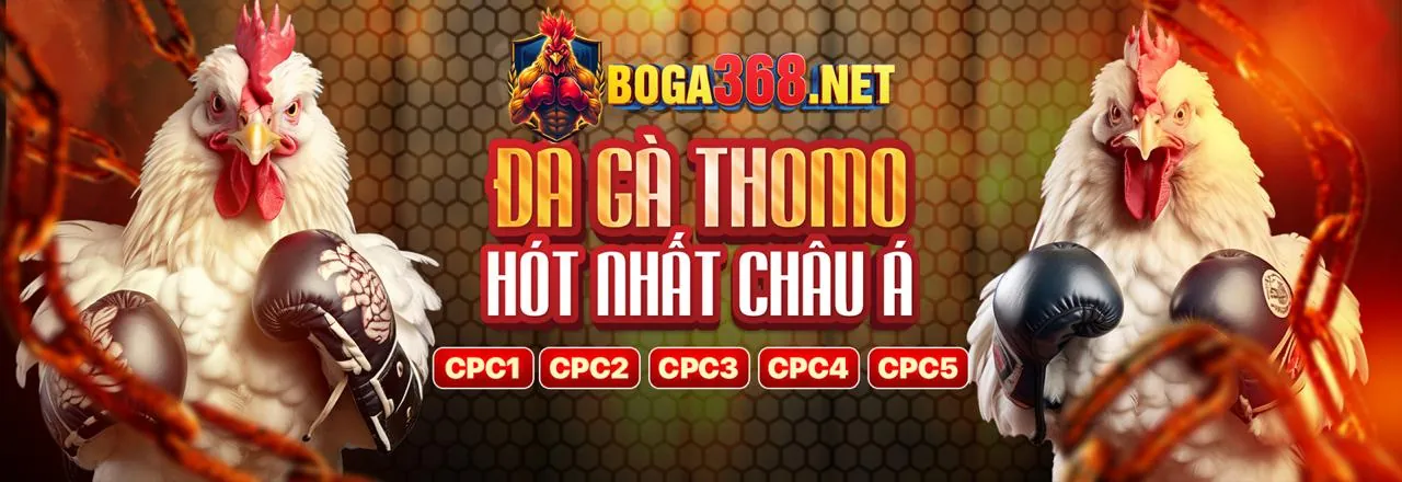 Đá Gà Trực Tuyến 5icse Đăng Nhập