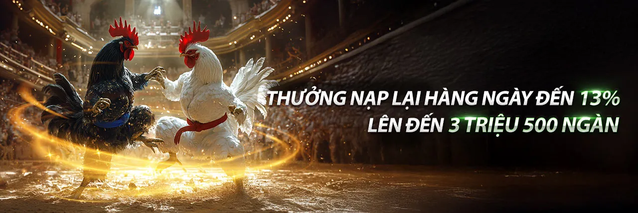 Hình ảnh tổng quan các chương trình khuyến mãi 5icse đăng nhập 2026